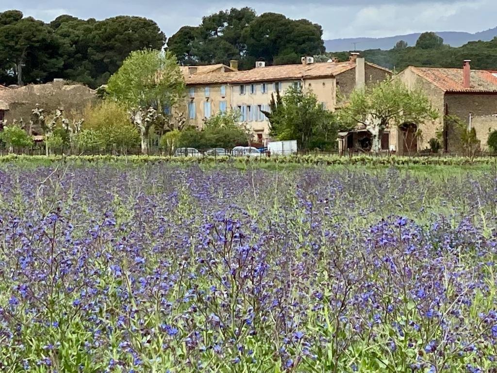 Le Relais D'Affiac Bed & Breakfast Peyriac-Minervois Exterior foto