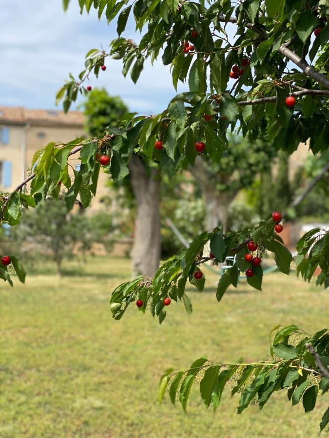 Le Relais D'Affiac Bed & Breakfast Peyriac-Minervois Exterior foto